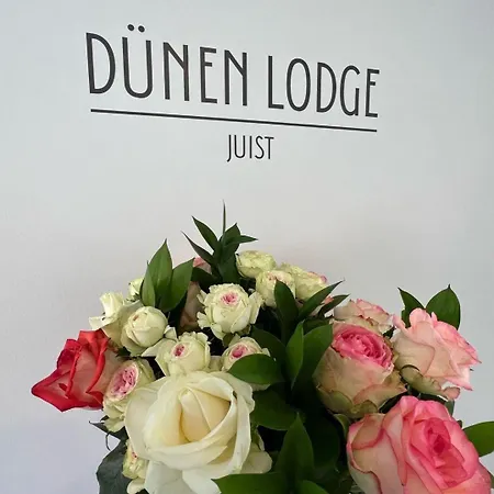 アパート Duenen 5 *